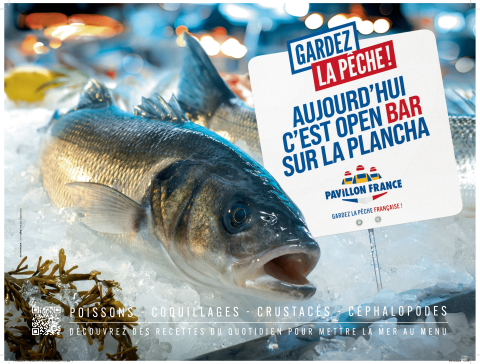 Publicité Pavillon France